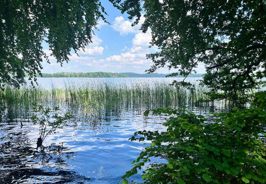 24-06-26 14-22-13 9939